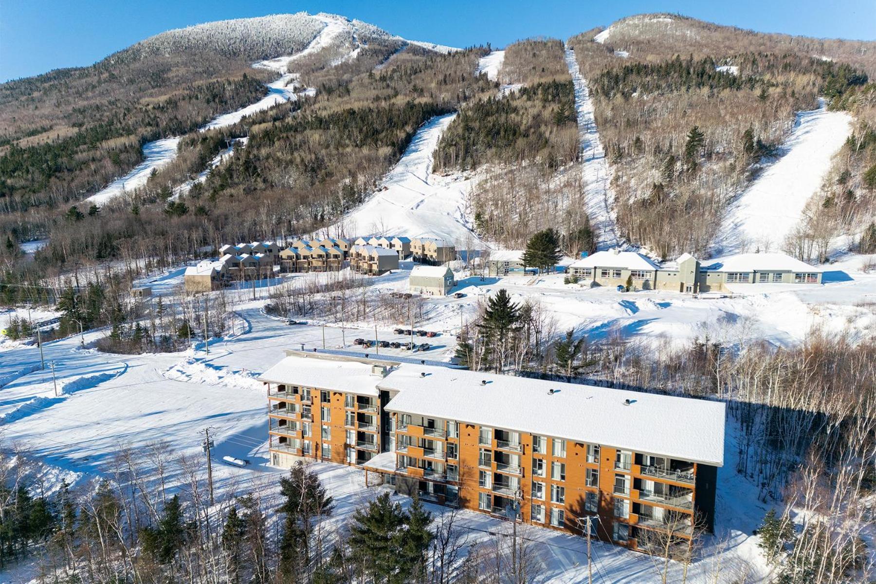 Les Appartements Du Massif De Charlevoix Петит-Ривиер-Сен-Франсоа Екстериор снимка