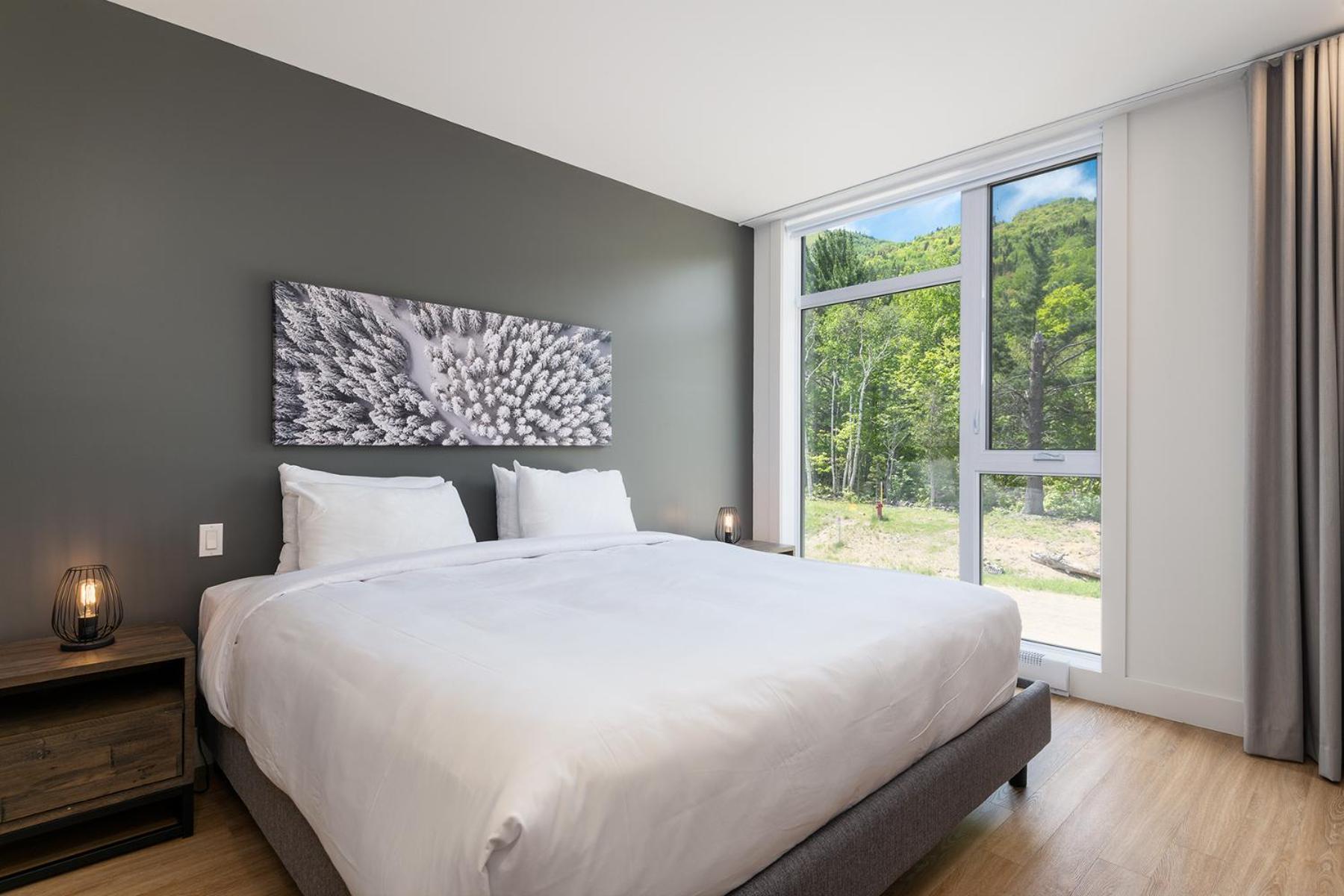 Les Appartements Du Massif De Charlevoix Петит-Ривиер-Сен-Франсоа Стая снимка