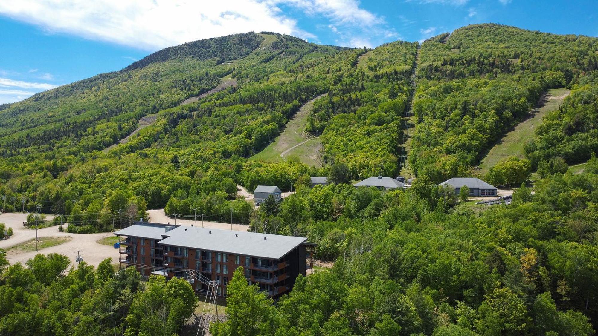 Les Appartements Du Massif De Charlevoix Петит-Ривиер-Сен-Франсоа Екстериор снимка