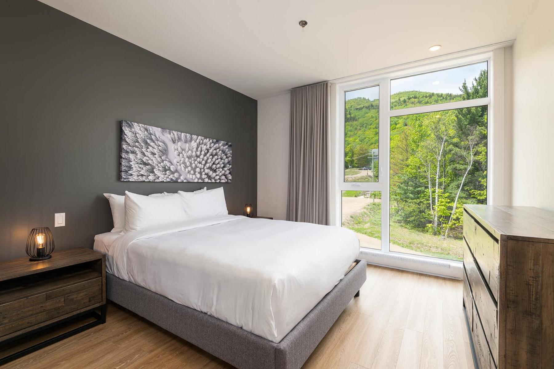 Les Appartements Du Massif De Charlevoix Петит-Ривиер-Сен-Франсоа Стая снимка