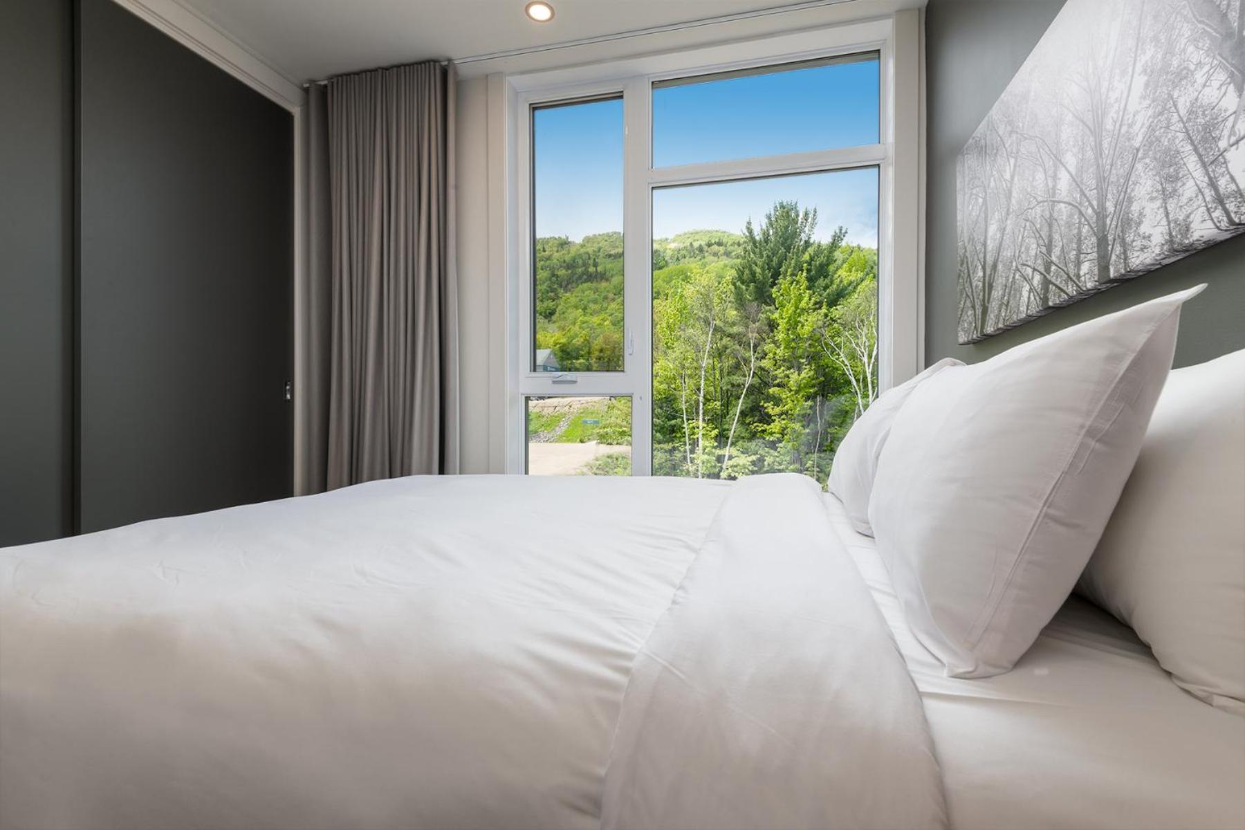 Les Appartements Du Massif De Charlevoix Петит-Ривиер-Сен-Франсоа Екстериор снимка